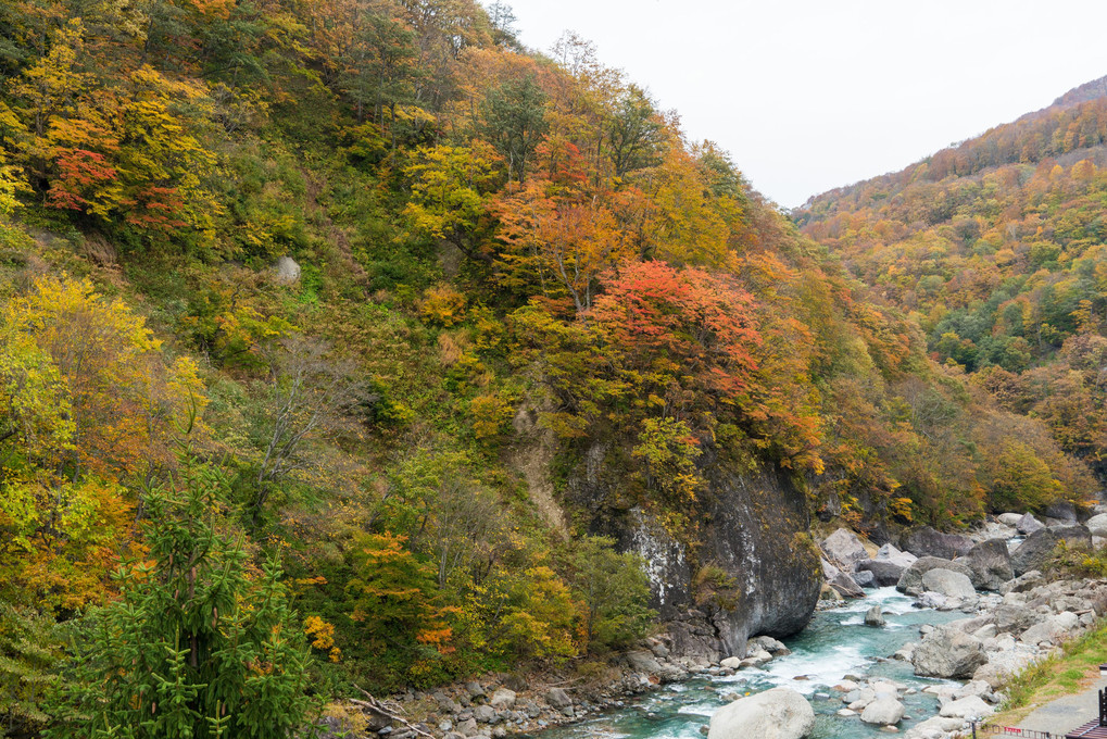 秋山郷の紅葉