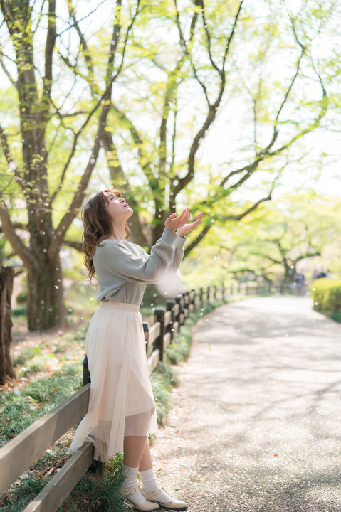 桜 ひらひら 舞い降りて落ちて