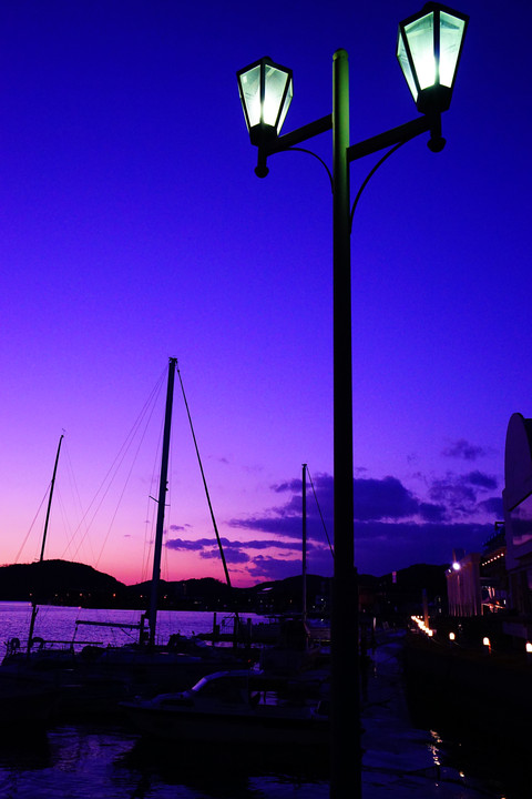 紫の港・・・・・。