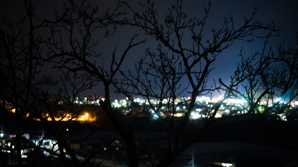 湖畔の夜