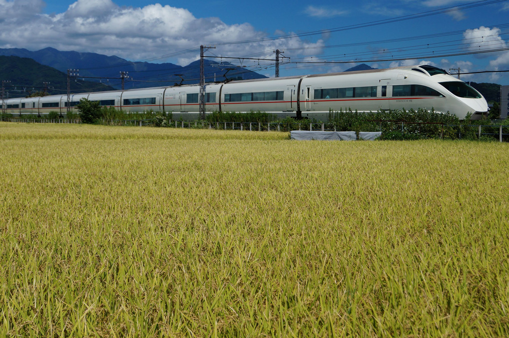 秋の箱根路　その3