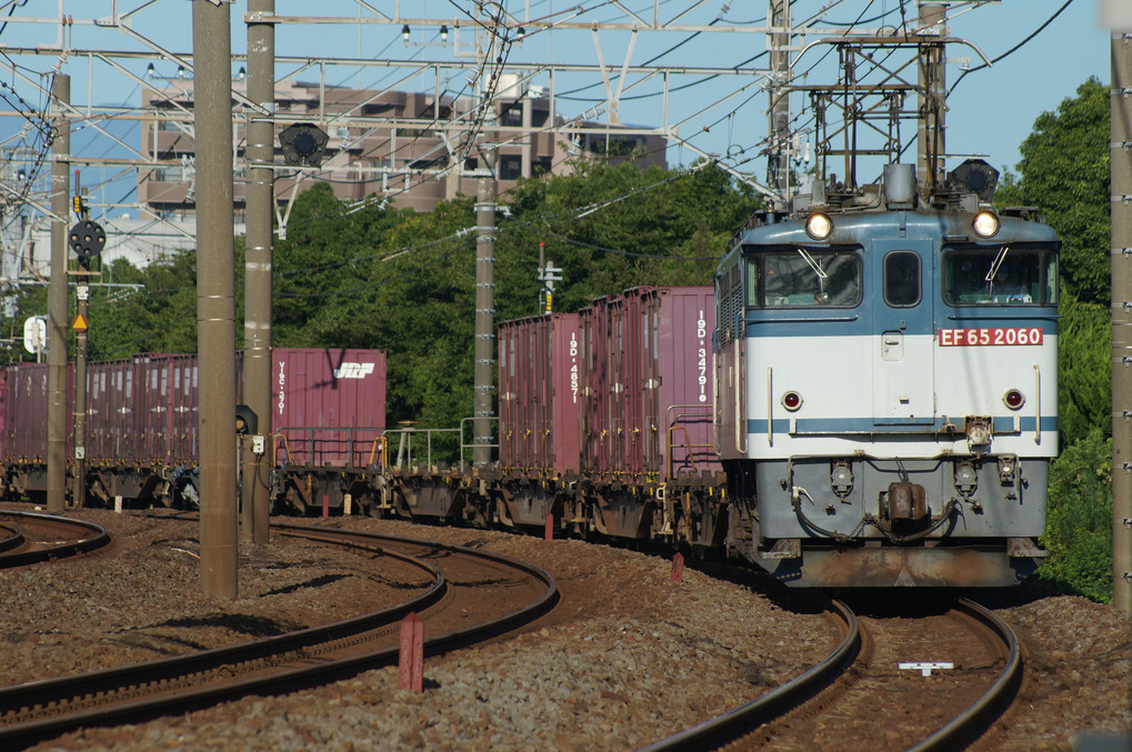 早朝の東海道貨物列車