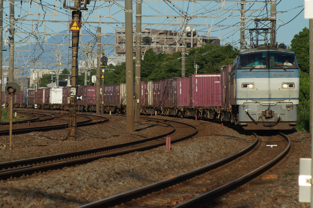 早朝の東海道貨物列車