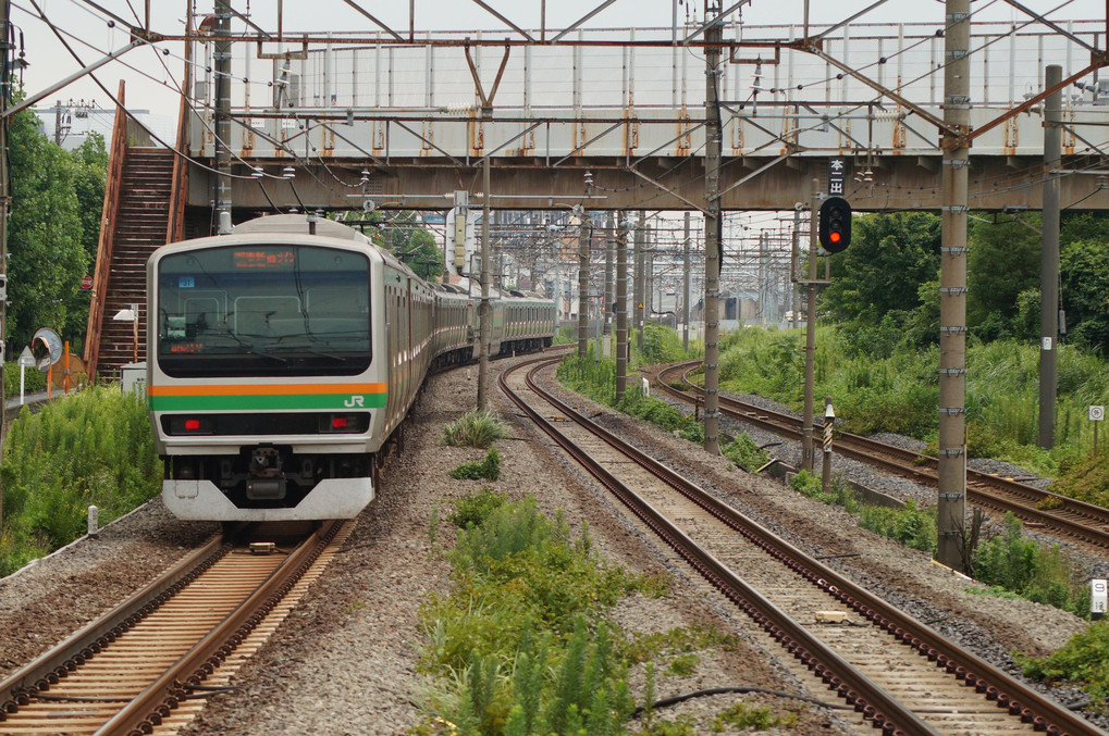 横須賀線、湘南新宿ライン　あれこれ