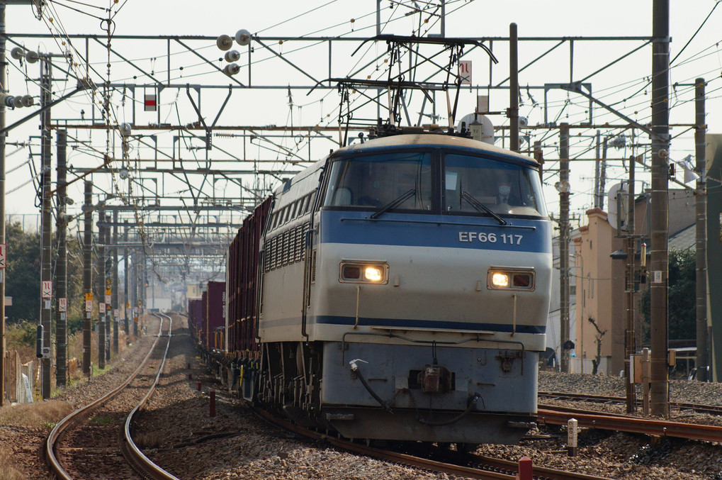 久しぶりの貨物列車