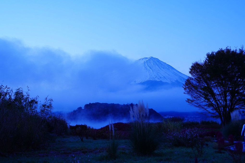 富士山