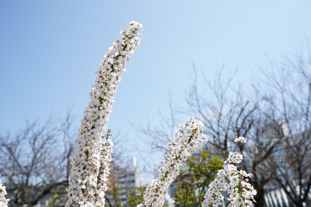 天に向けて…