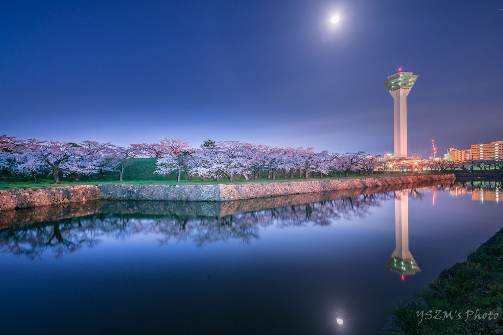 満開の夜桜～函館五稜郭公園①