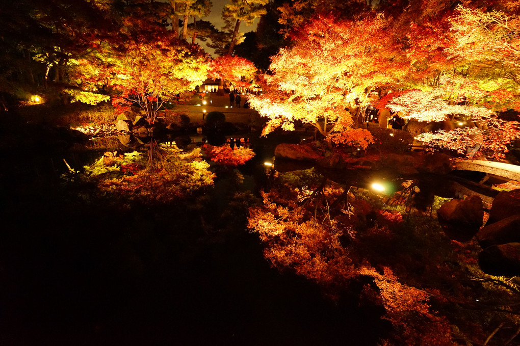 大田黒公園紅葉ライトアップ2016