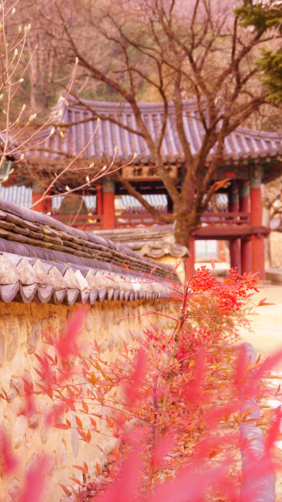 韓国　古刹の風景
