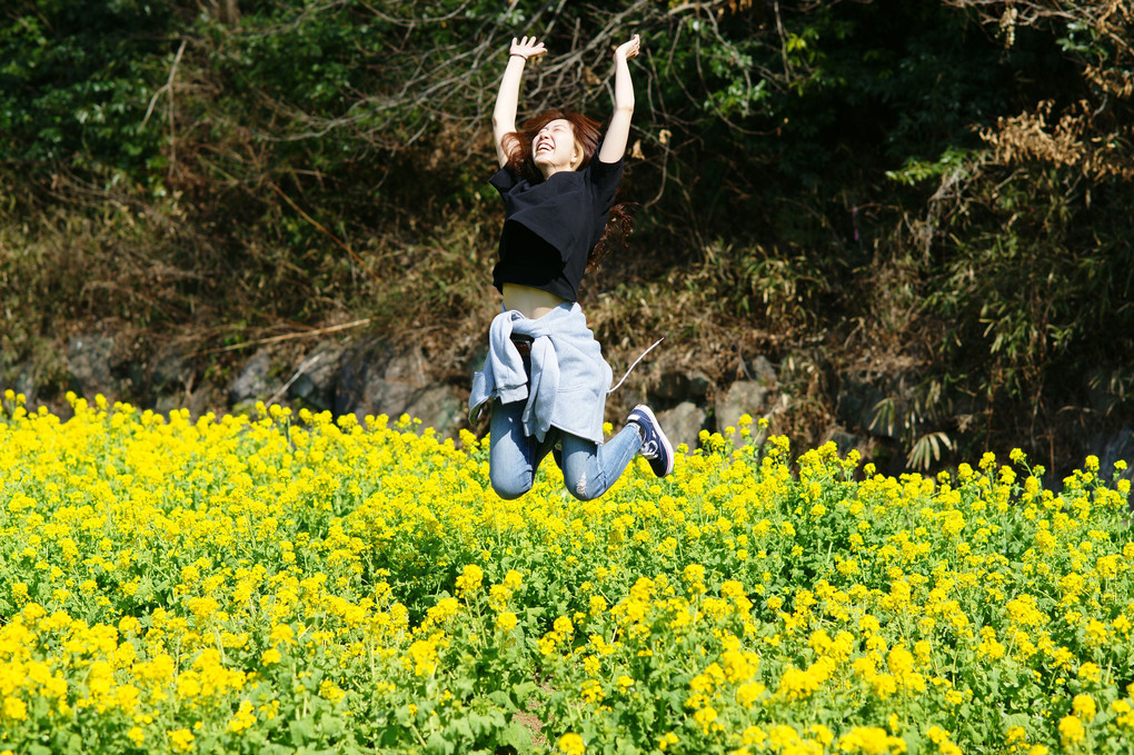 菜の花畑で飛んでみた