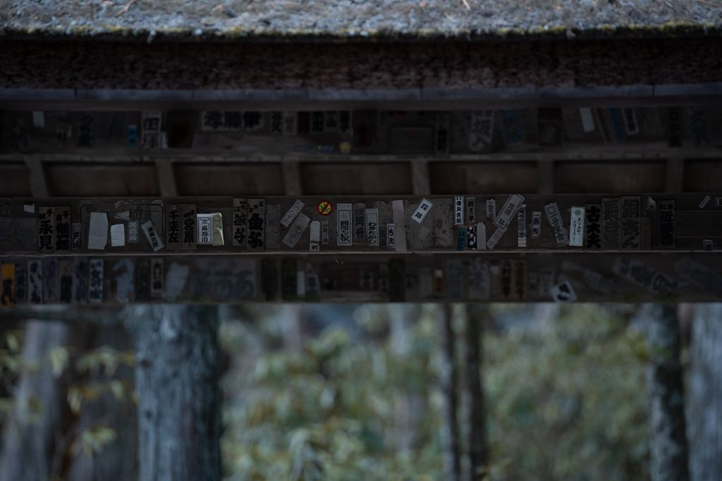 米谷昌浩先生の写真講座　高野山で冬景色撮影。
