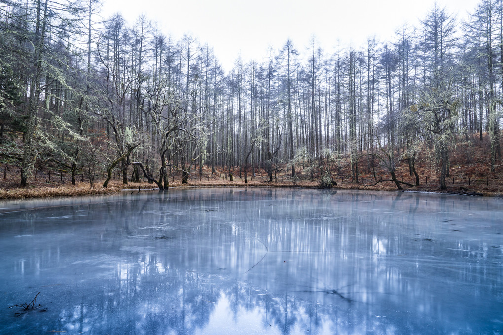 冬の大池