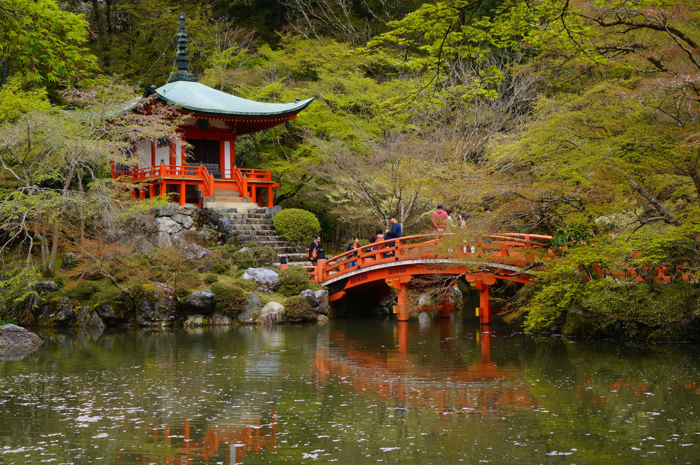 京都山科・醍醐寺にて