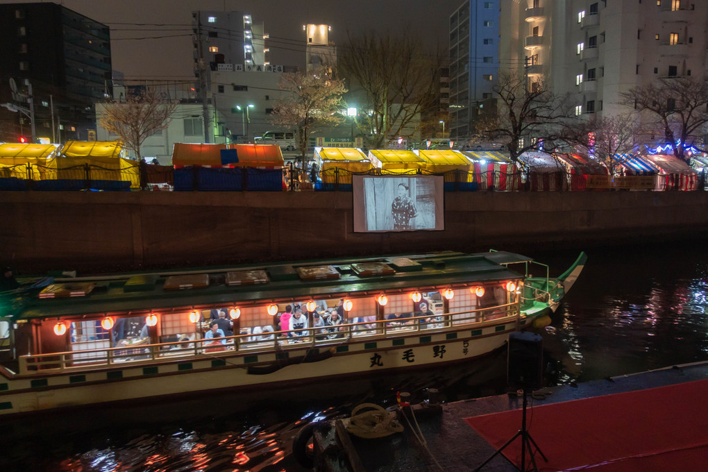 夜桜映画