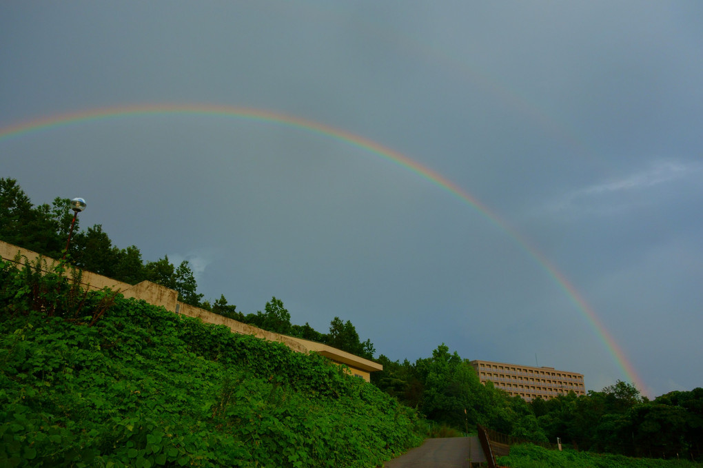 夕立の後のRAINBOW！🌈