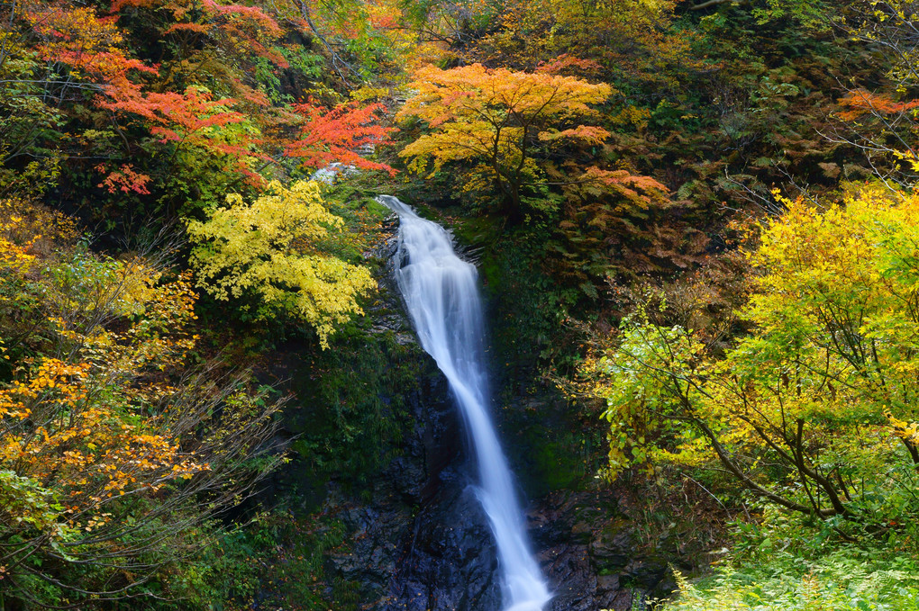 紅葉と三蛇ケ滝 ～医王山～