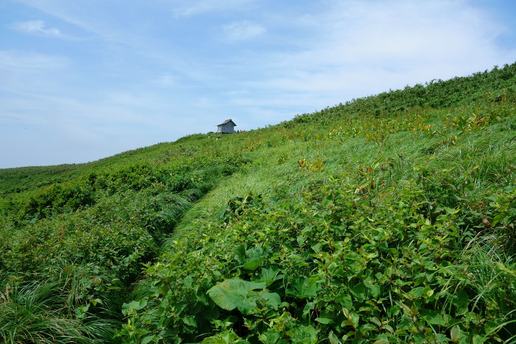 能郷白山に憧れて🗻