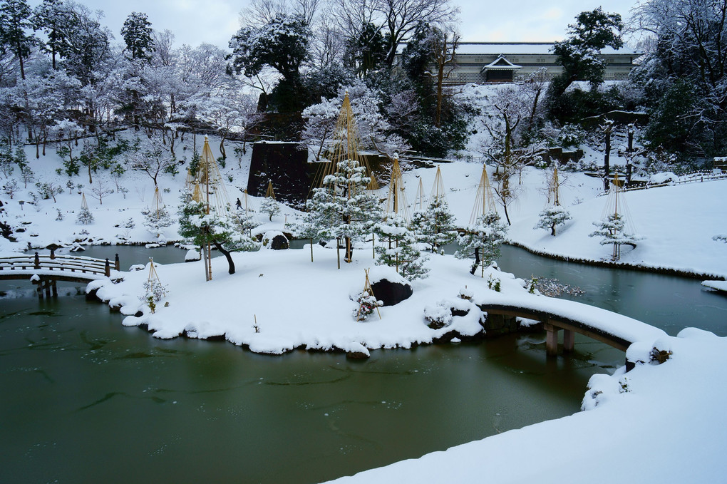 玉泉院丸庭園の雪景色 ⛄