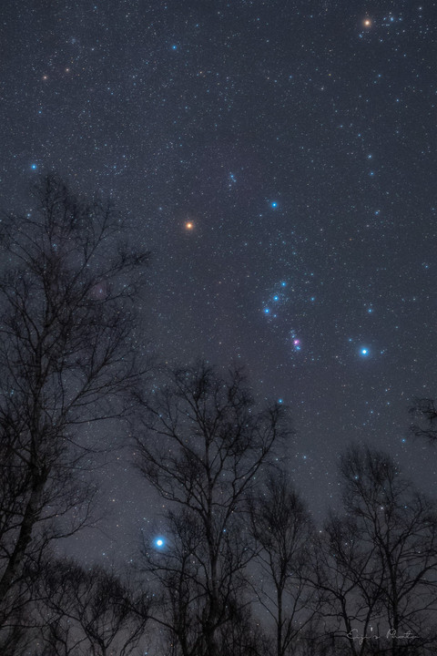  Orion