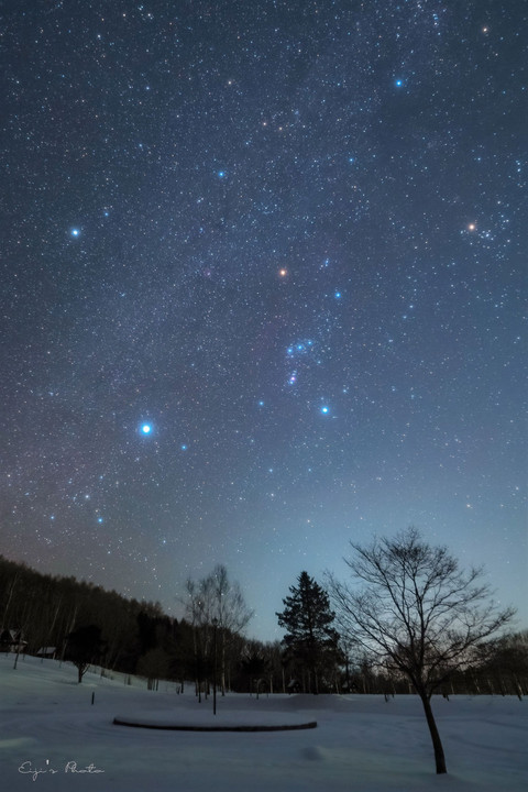 冬の星天