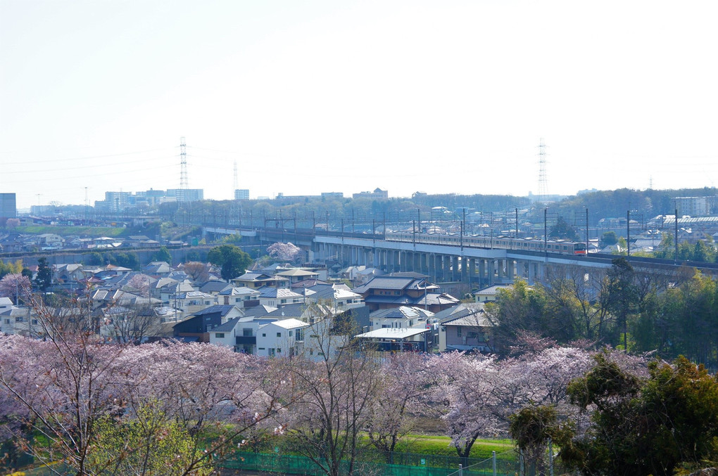 春爛漫！武蔵野線