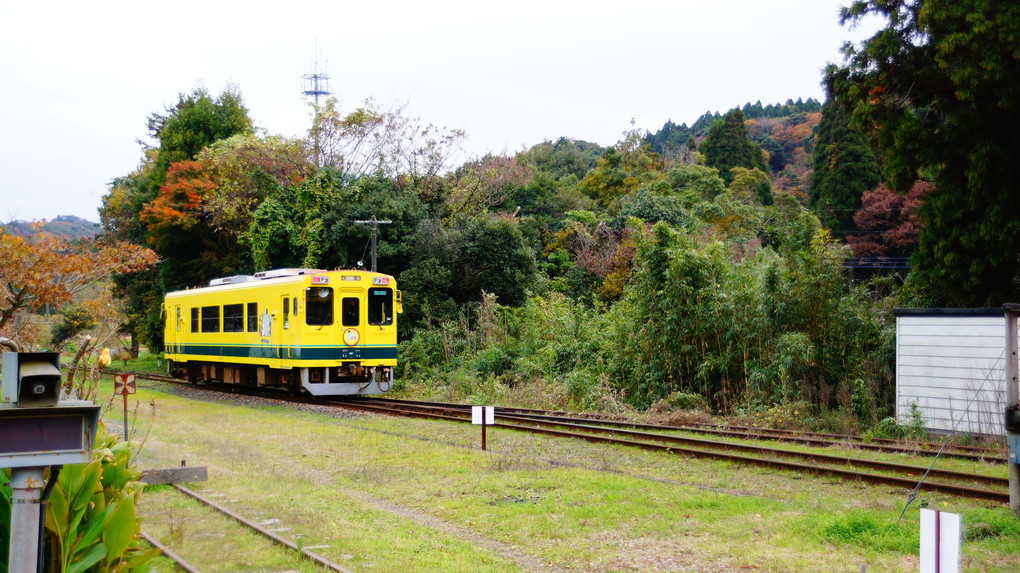 紅葉の中を出発・いすみ鉄道