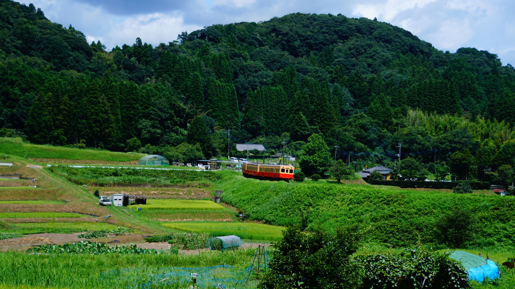 野山を走る列車・小湊鐡道