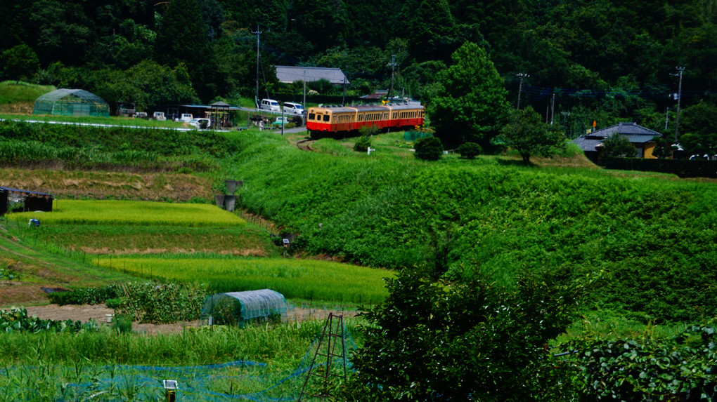 野山を走る列車・小湊鐡道