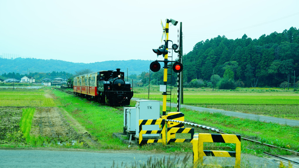 小湊鐡道・トロッコ列車・川間の踏切