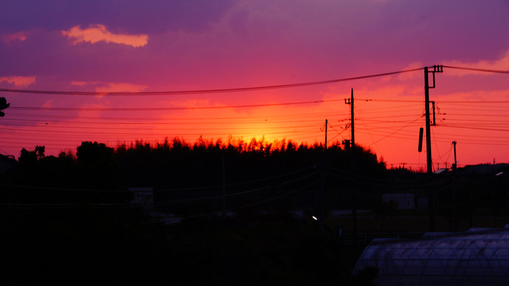 燃えているような夕陽