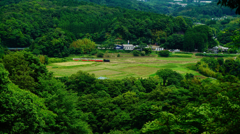 小湊鐡道・トロッコ列車・石神のお立ち台