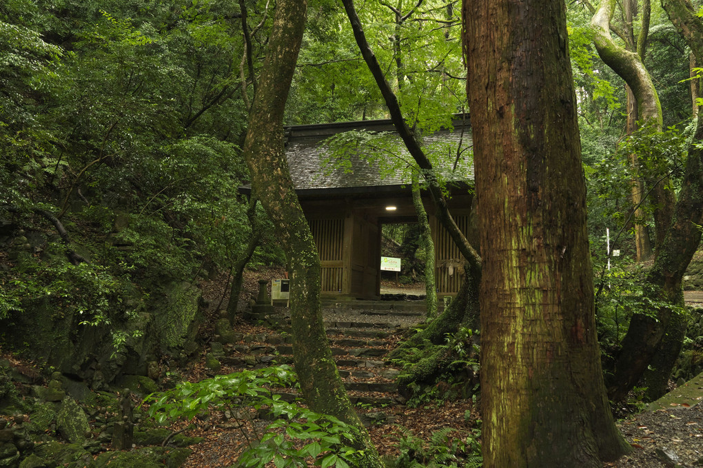 古寺 山門