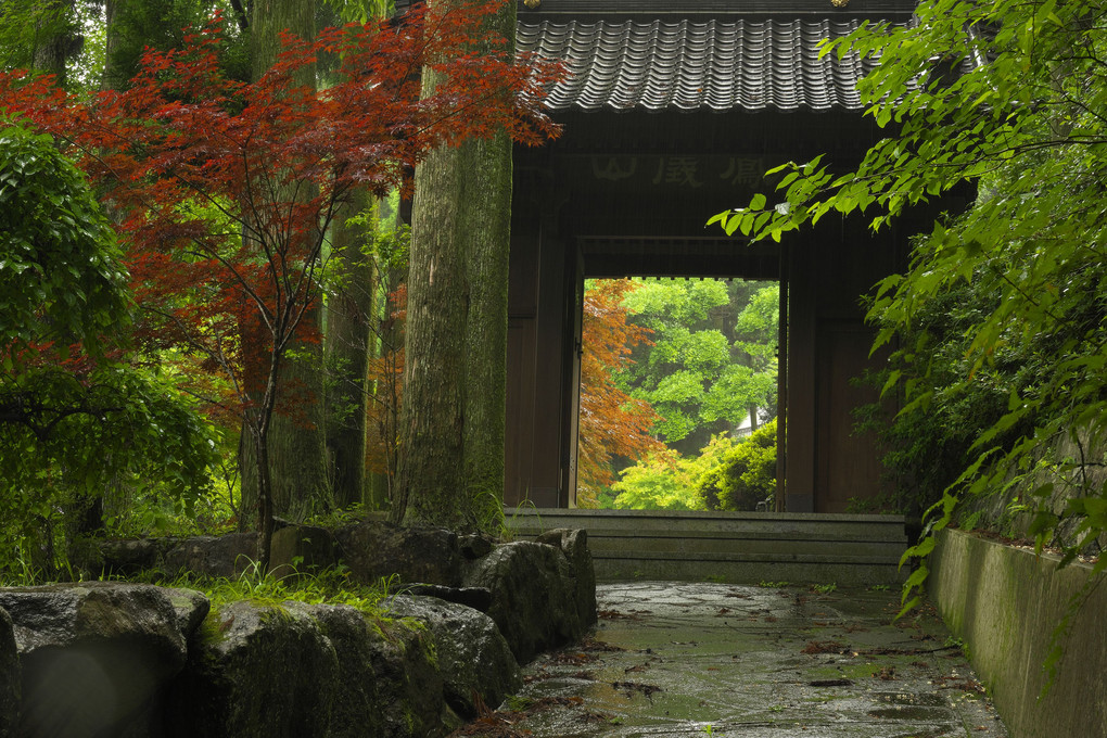 雨の聖護寺