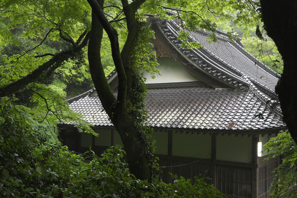 雨の境内