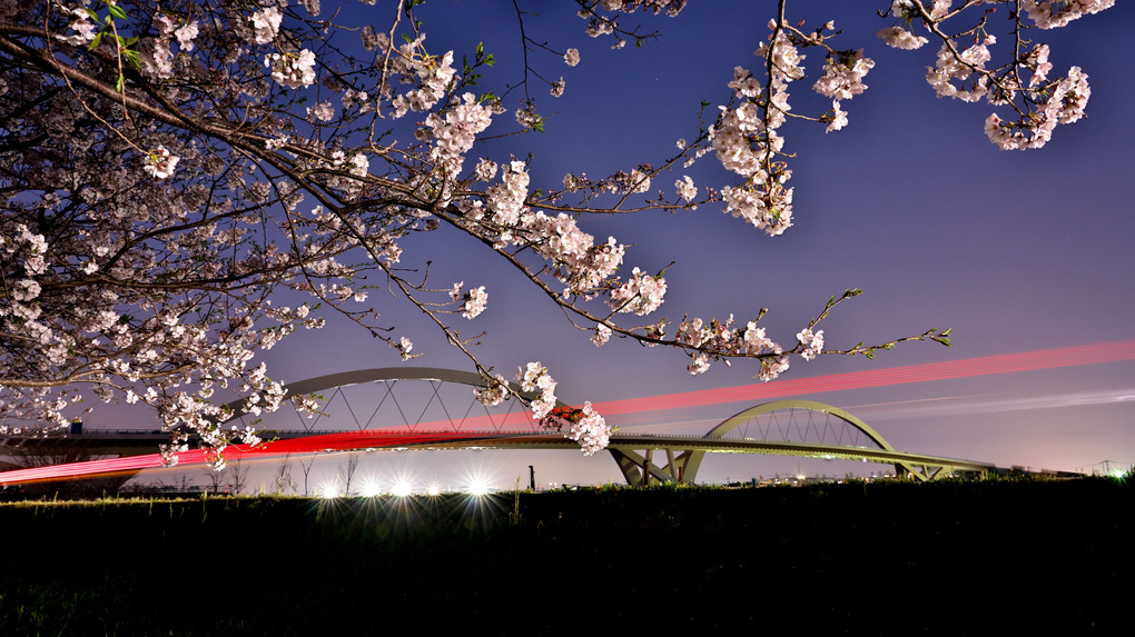 前撮り（仮筑後川橋）桜の季節