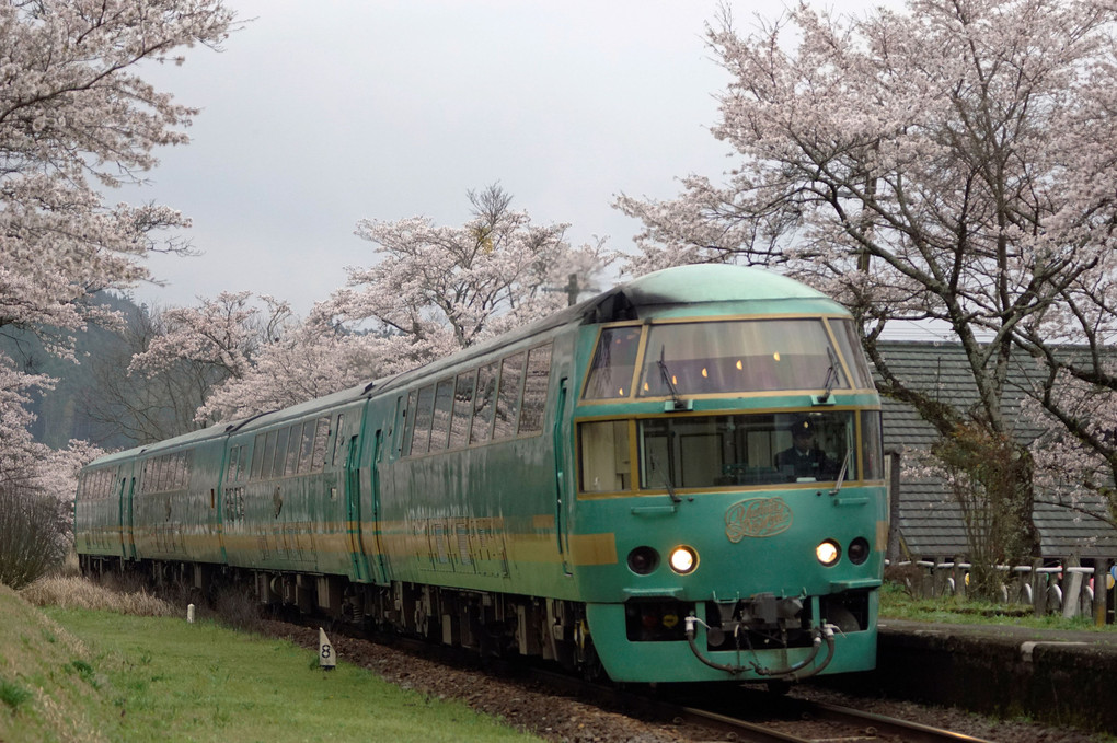 JR九州久大線の豪華列車