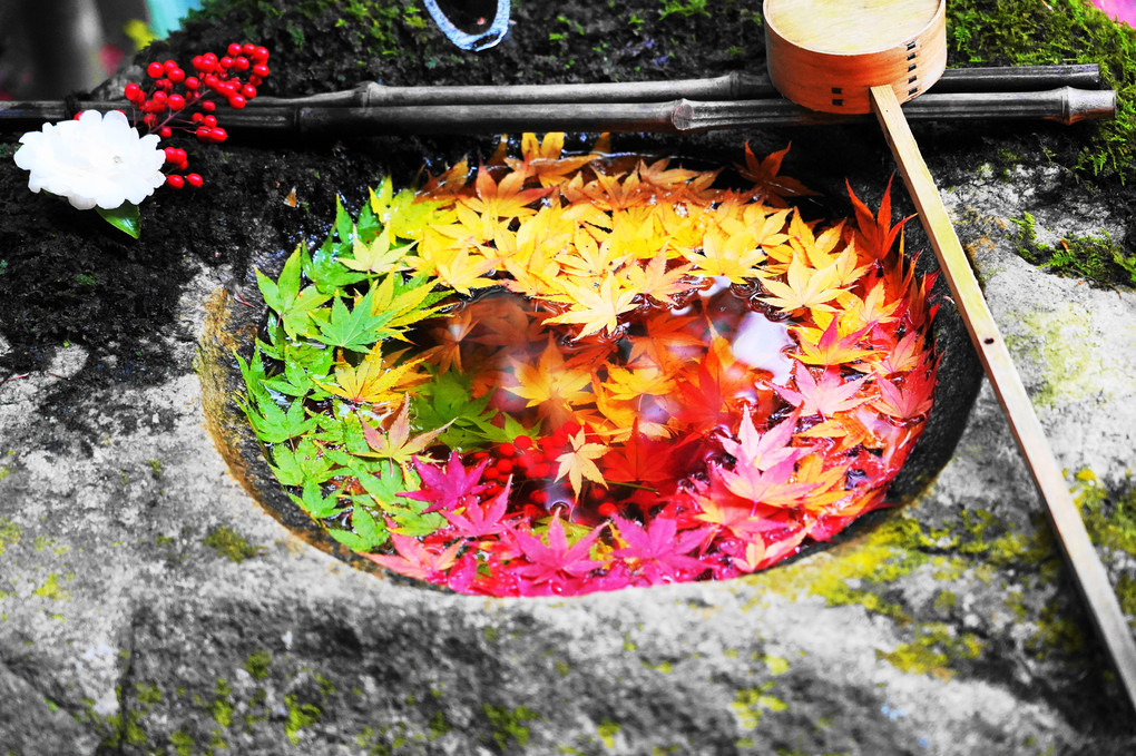 京都：西山三山：柳谷観音楊谷寺の手水鉢