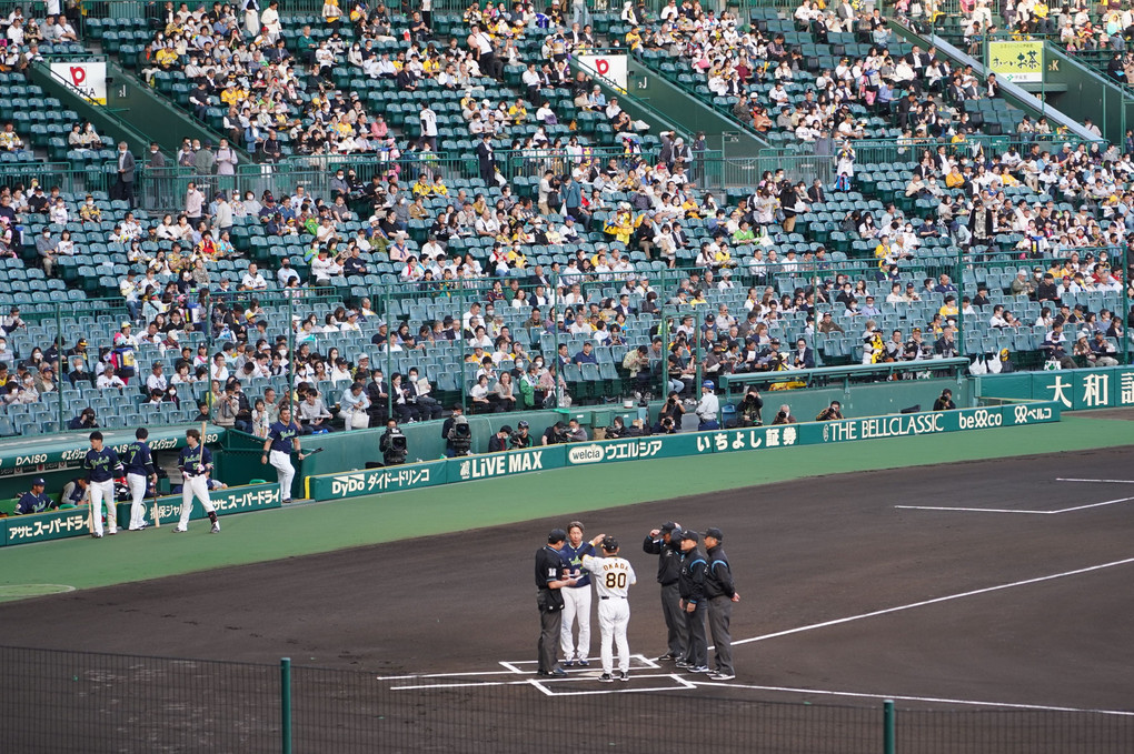 昨日の…阪神甲子園球場