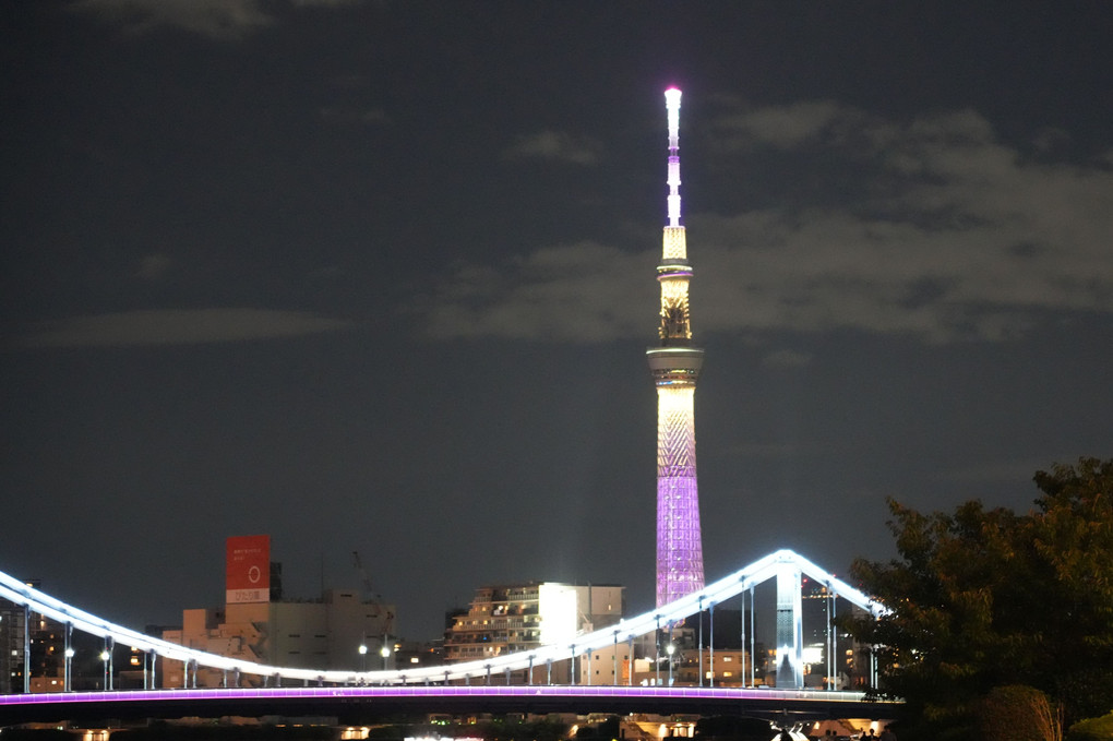 隅田川の夜景…清洲橋