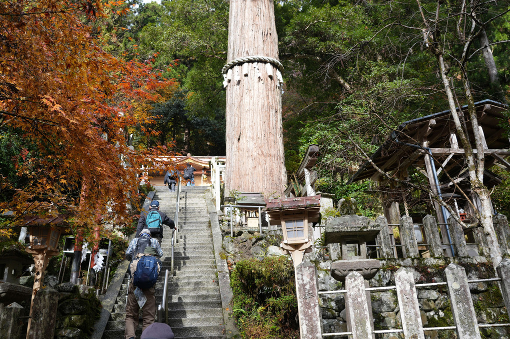 京都洛北…由岐神社