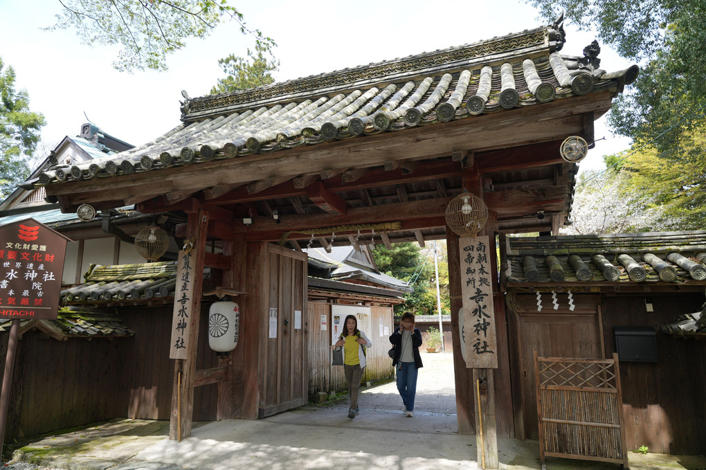 吉野山吉水神社から眺める…「一目千本」