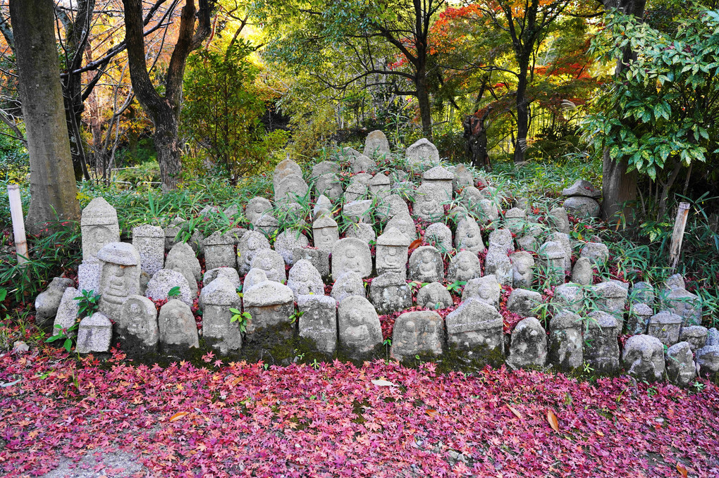 紅葉に絨毯に乗った…野仏様