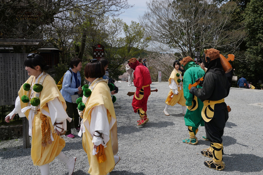吉野山・金峯山寺…春のイベント