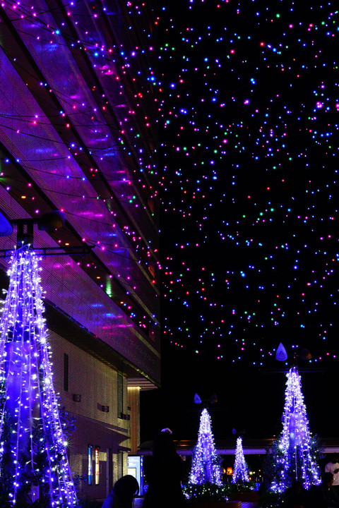 クリスマスイルミネーション＠横浜みなとみらい