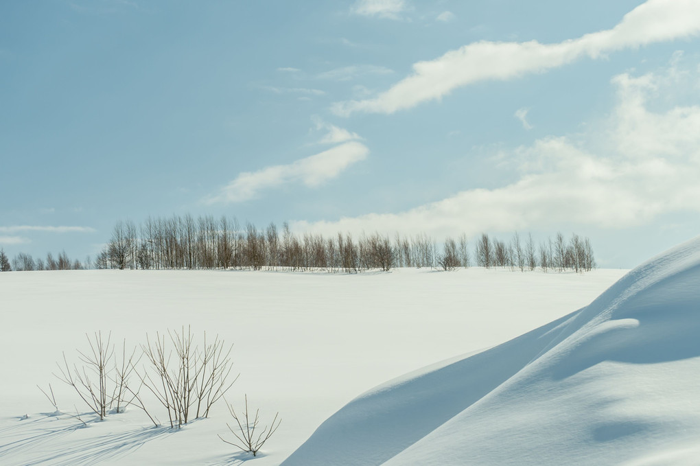 KaWaNiSiの雪景