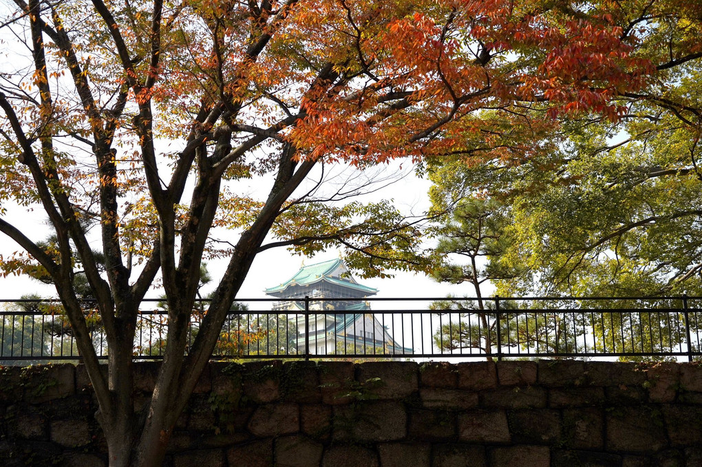 秋晴れの大阪城公園