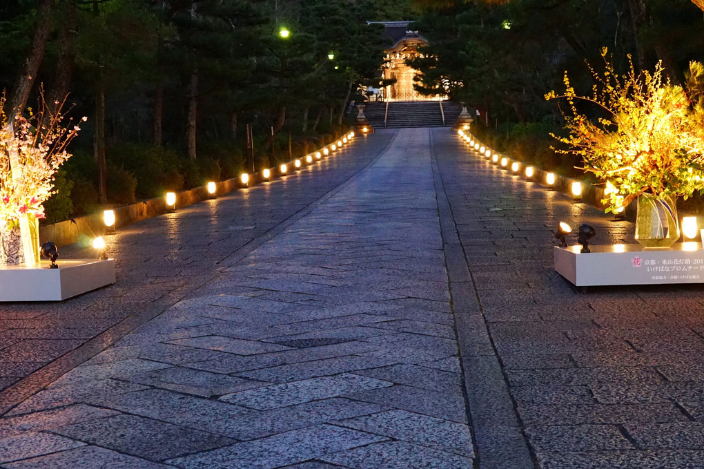 京都東山花灯路が開幕です