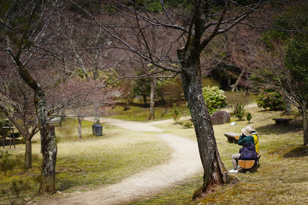 αcafe大阪の井川拓也先生写真セミナー～春の風景を撮ろう＠京都嵐山～に参加しました