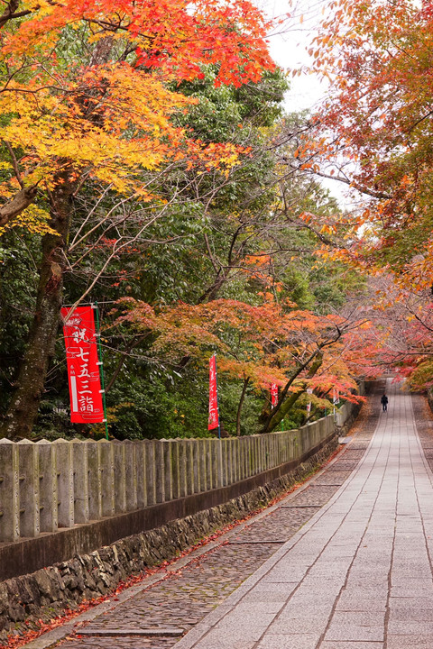 向日(むこう)神社の紅葉です